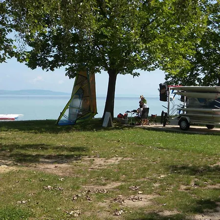 In - Balaton 33875 * Замарди