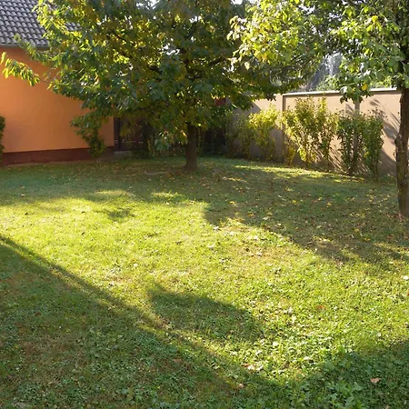 In - Balaton 33875 Замарди