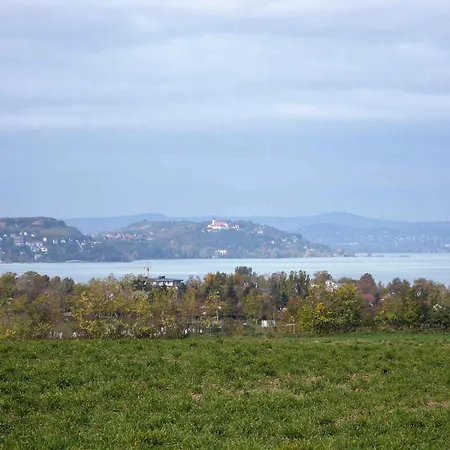 In - Balaton 33875 *