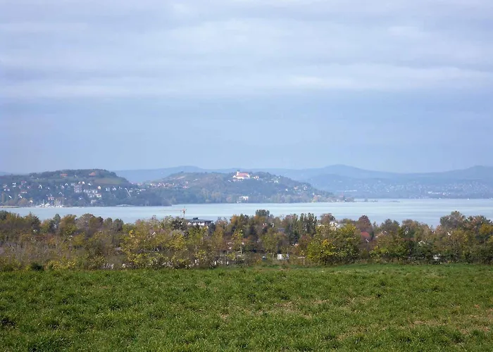 In - Balaton 33875 *